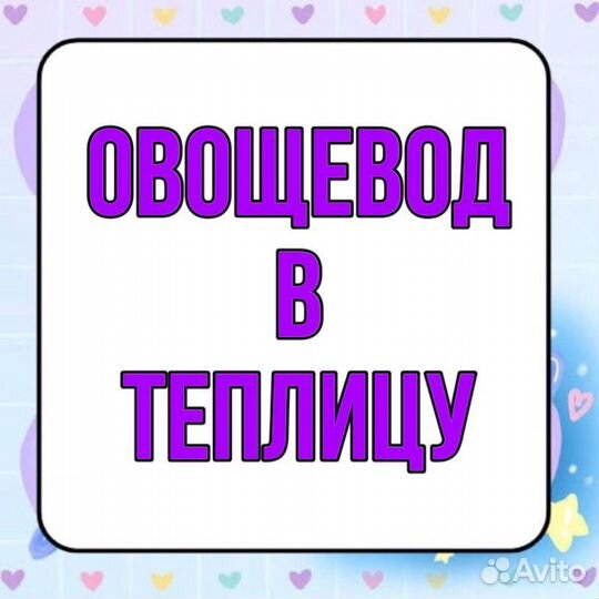 Овощевод в теплицу(через обучение)