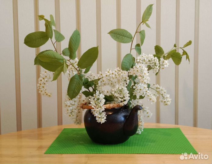 Заварочный чайник