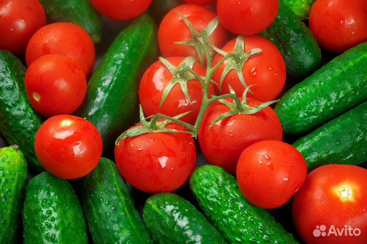 Упаковщики овощей/Работа каждому