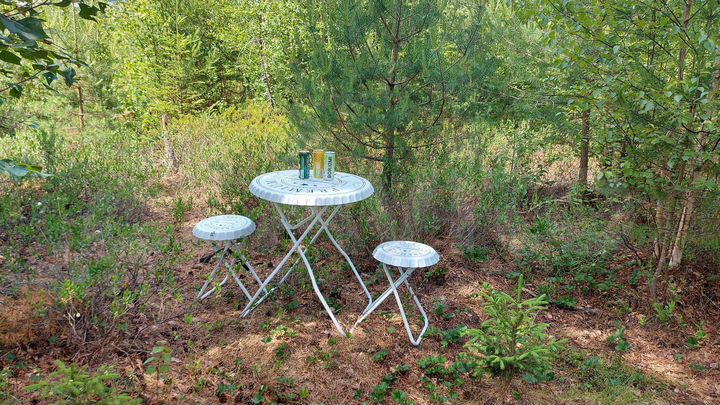 Участок 10 сот. (СНТ, ДНП)