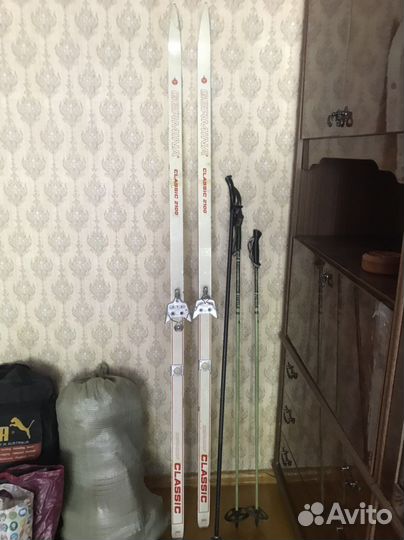 Беговые лыжи