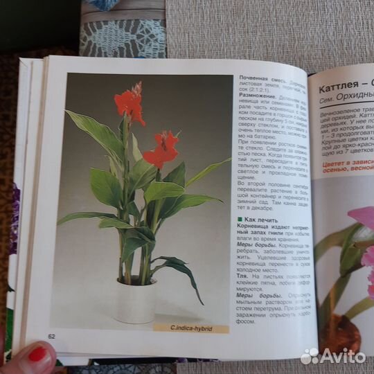 Книга по уходу за комнатными растениями
