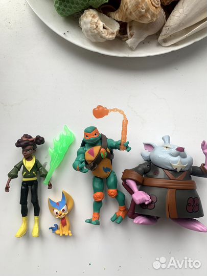 Черепашки ниндзя эволюция ninja