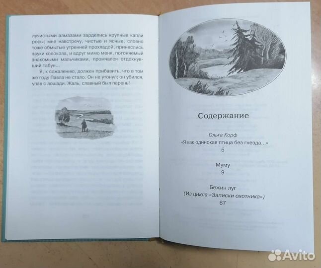 Книга Тургенев 