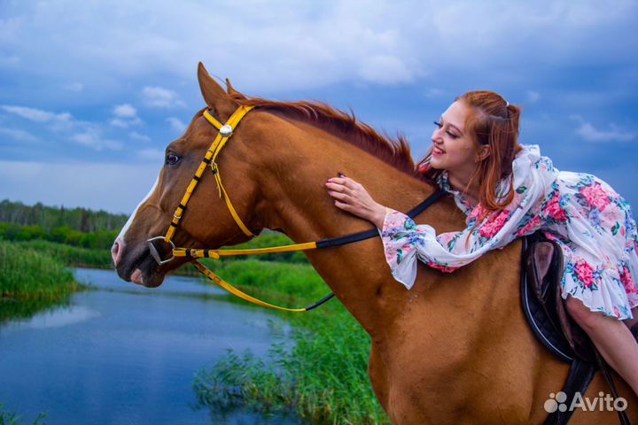 Конные прогулки