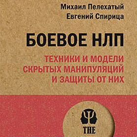 Спирица Е. В., Пелехатый М. М. Боевое нлп