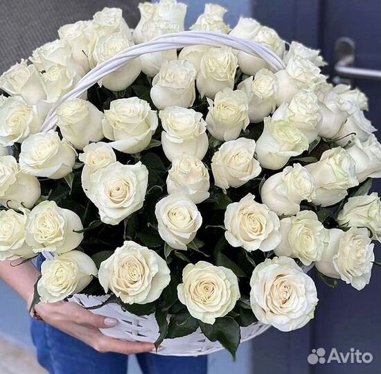 101 роза цветы букеты доставка 25 51 101 роза