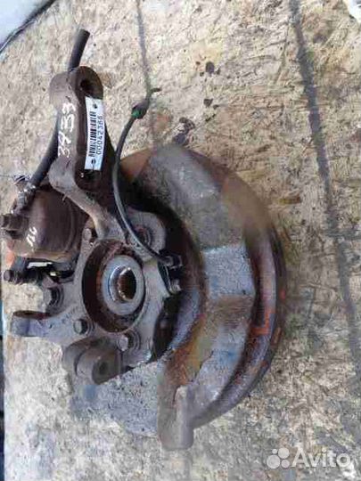 Кулак поворотный левый Hyundai Santa Fe 2 CM 51715