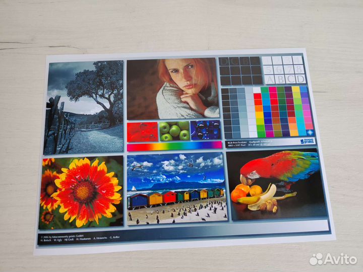Epson Stylus Photo P50