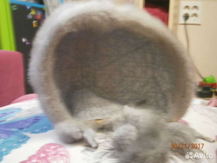 Шапка норковая