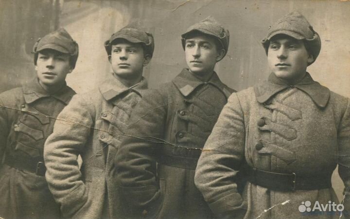 Буденовка темно-серая Романенко