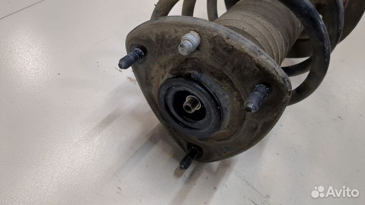 Амортизатор подвески Acura TLX, 2020