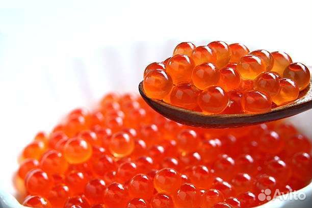 Красная икра горбуши