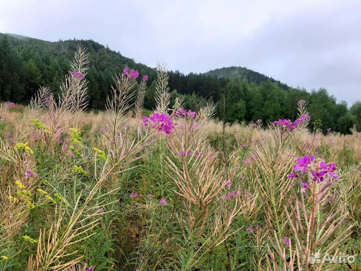 Индивидуальные экскурсии