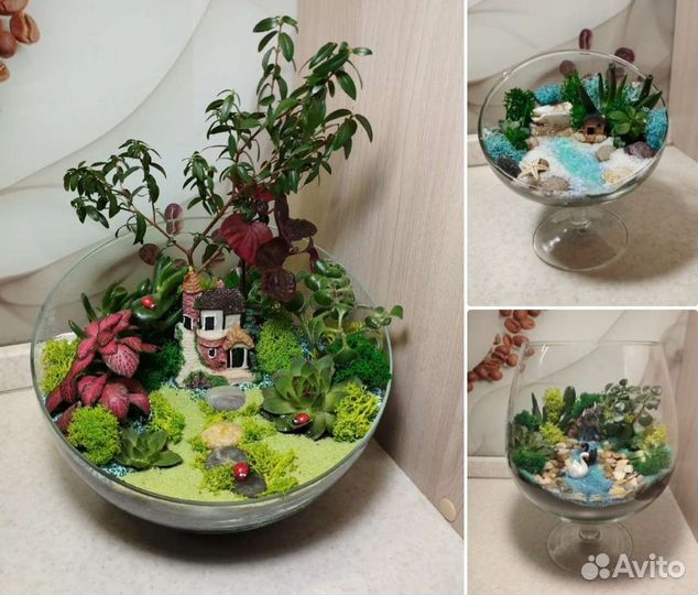 Флорариум, моссариум, композиция, цветы