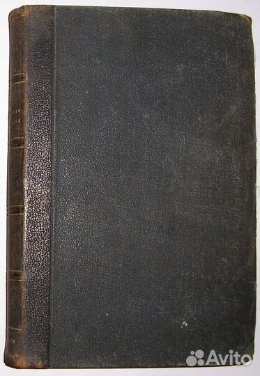 Кому отдаст голос сеньор Кайо Святые безгрешные