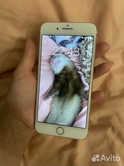 iPhone 7 plus 64gb