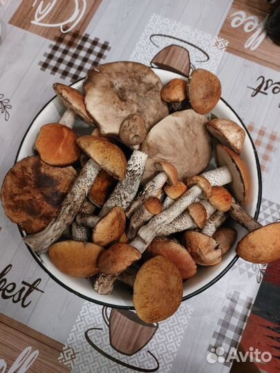 Грибы маринованные