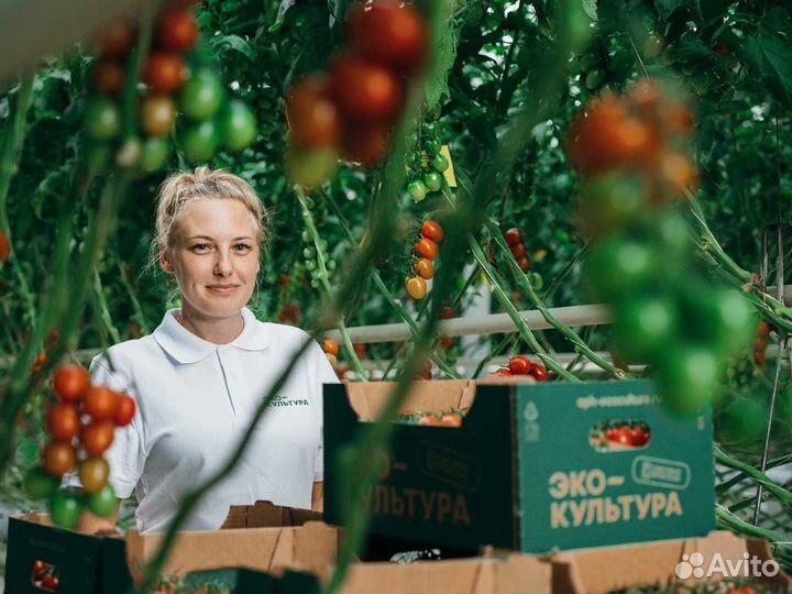 Работник теплицы. Вахта