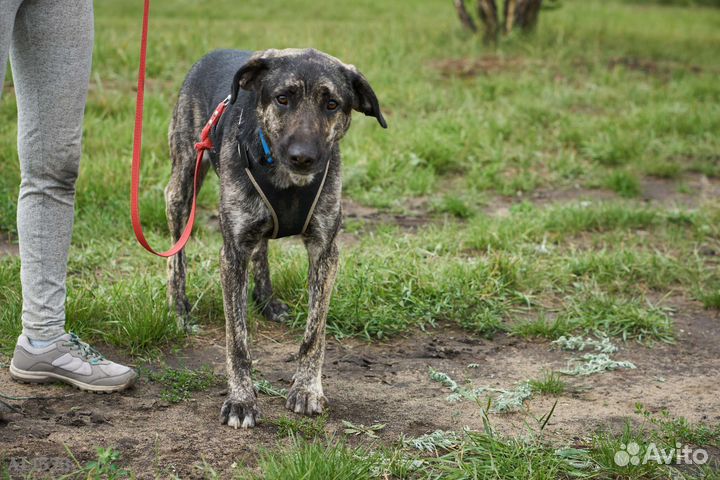 Рик нуждается в любящей семье
