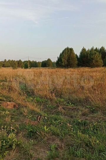 Участок 40 сот. (ИЖС)