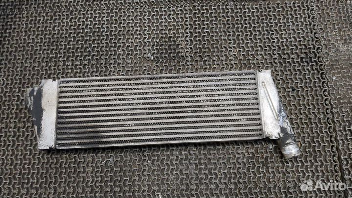 Радиатор интеркулера Renault Scenic, 2005
