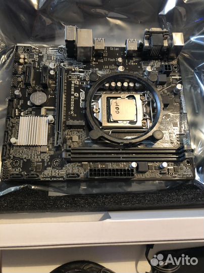 Asus prime b 250 m-k, intel core i3 7100