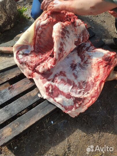 Сало домашнее