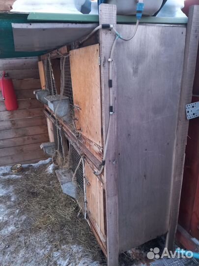 Клетка для кроликов 4 отсека