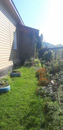 Дом 25 м² на участке 12 сот.