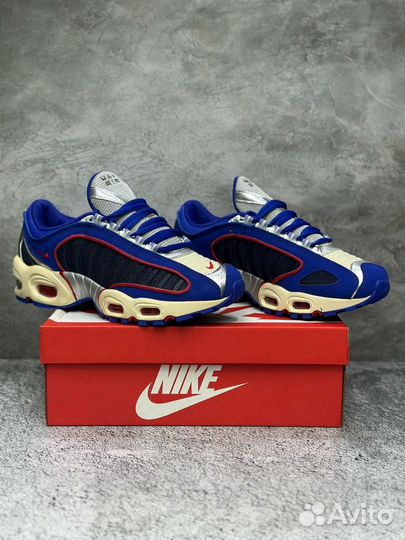 Кроссовки мужские Nike Air Max Tailwind