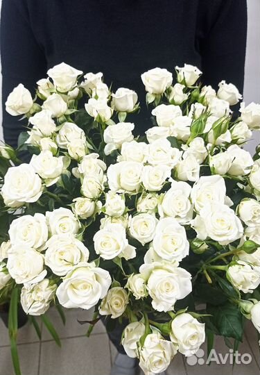 Кустовые розы