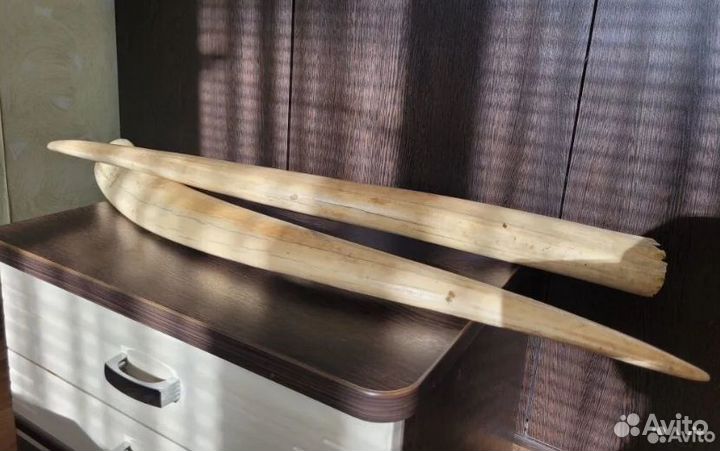 Бивни моржа имитация 2 шт