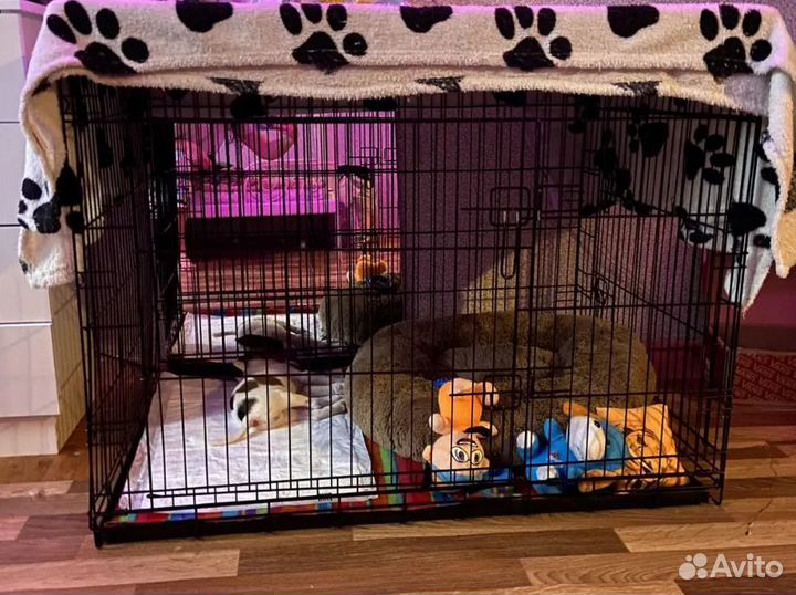 Клетка для собак с поддоном