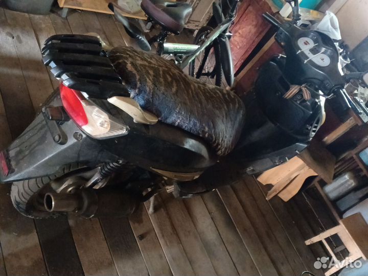 Рэмопед Рейсер