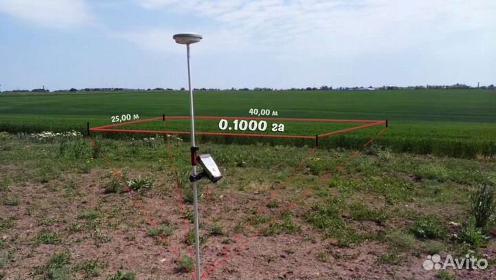 Вынос границ земельного участка в натуру Геодезист