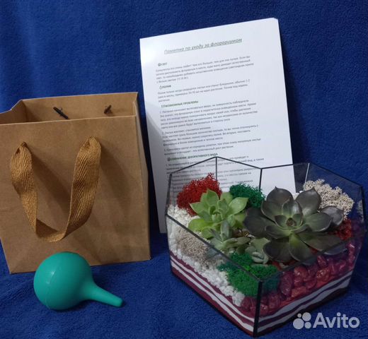 Ко Дню мамы Флорариум суккуленты