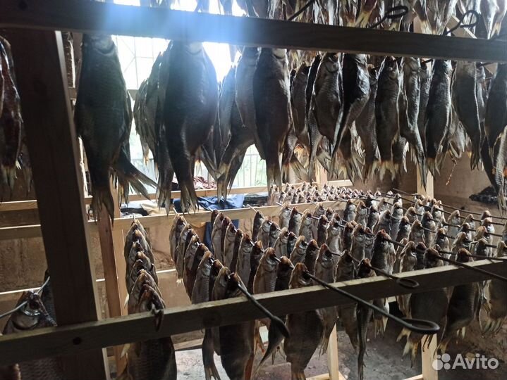 Вобла астраханская с икрой