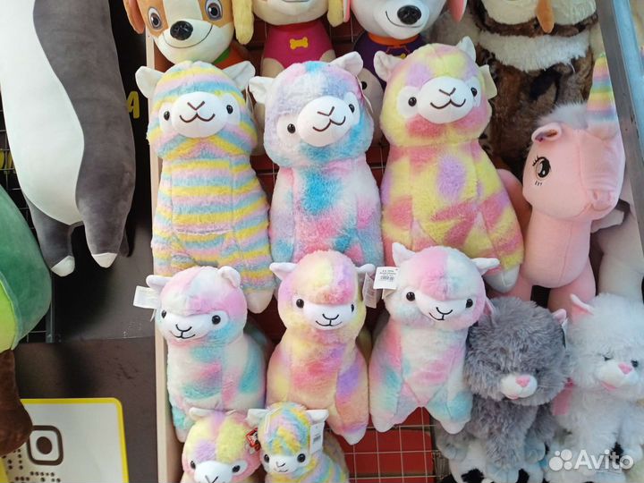 Байер, выкуп товаров оптом тяк, Садовод