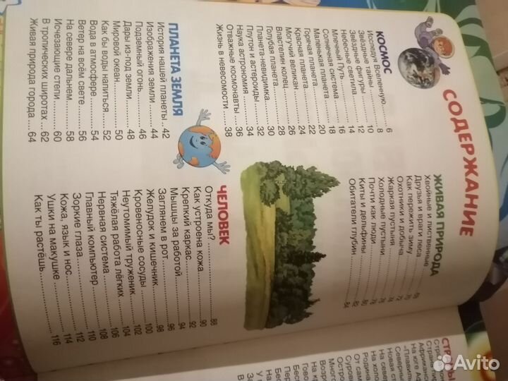 Детская энциклопедия