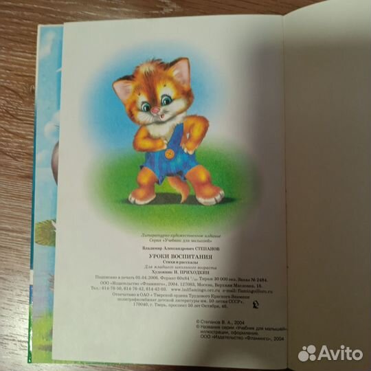 Владимир Степанов 