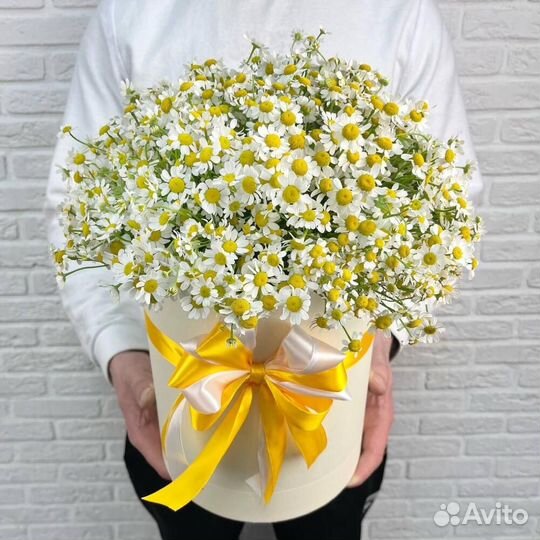 Букет ромашек Доставка