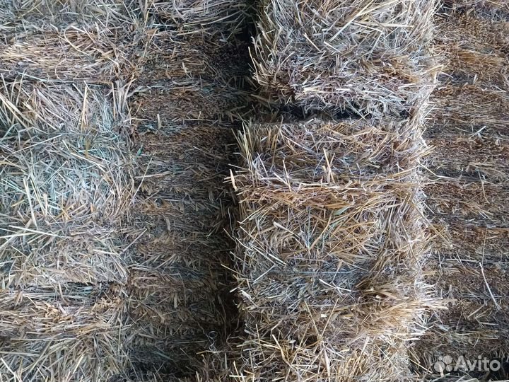 Солома ячменная в тюках
