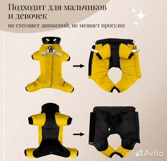 Одежда для собак