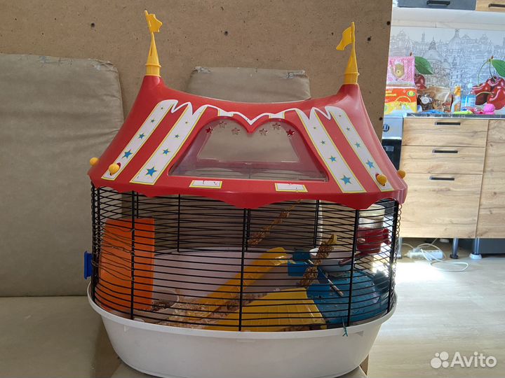 Хомяк с клеткой