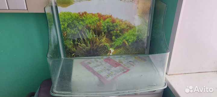 Аквариумом