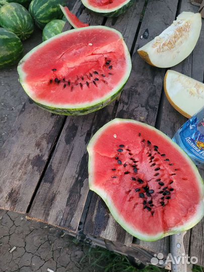 Арбузы с поля