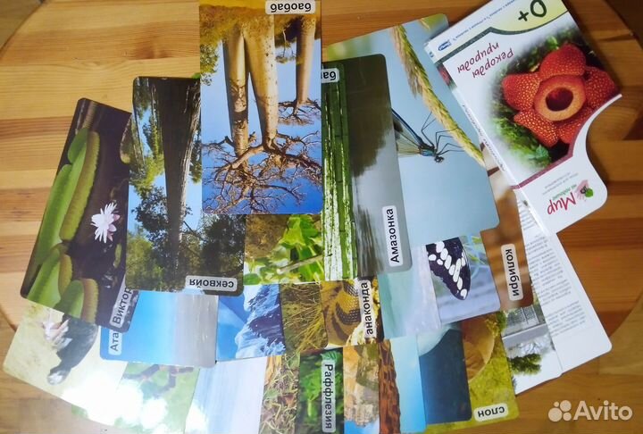 Карточки из серии 