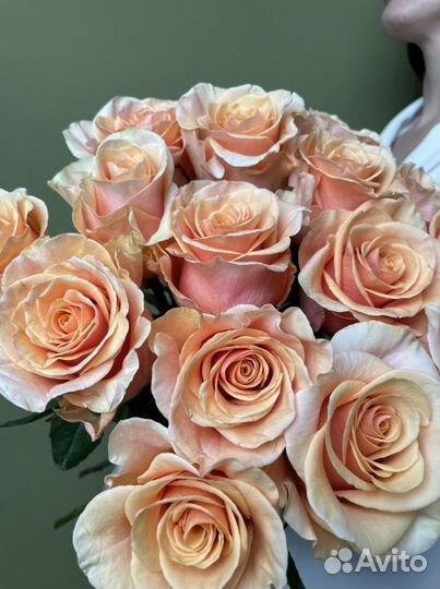 Цветы Розы Букет, Букет Цветов, Букет «Тофи»