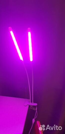 Светильник для растений